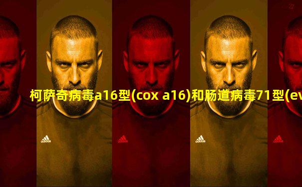 柯萨奇病毒a16型(cox a16)和肠道病毒71型(ev 71)